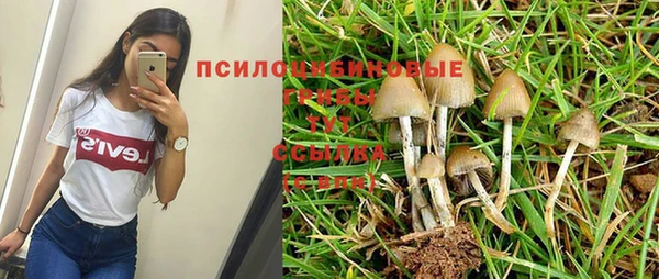 шишки Михайловка