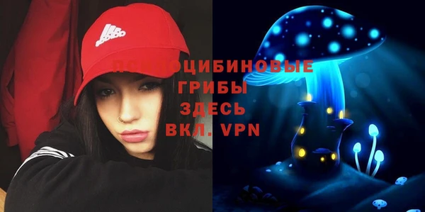 spice Медвежьегорск