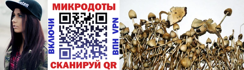 хочу Макушино Галлюциногенные грибы мухоморы